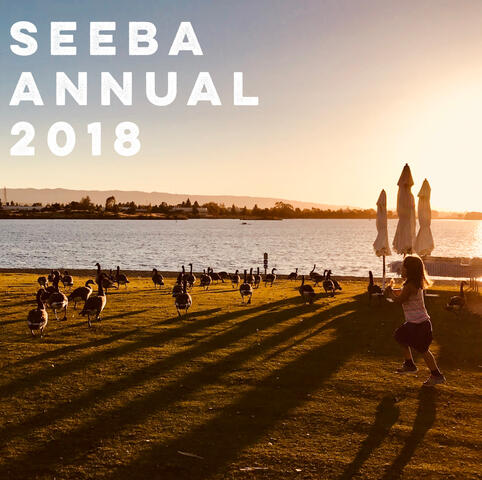 Seeba Annual 2018 Seeba Annual 2018
